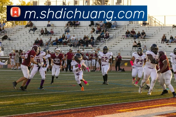 尊龙凯时APP 封面图